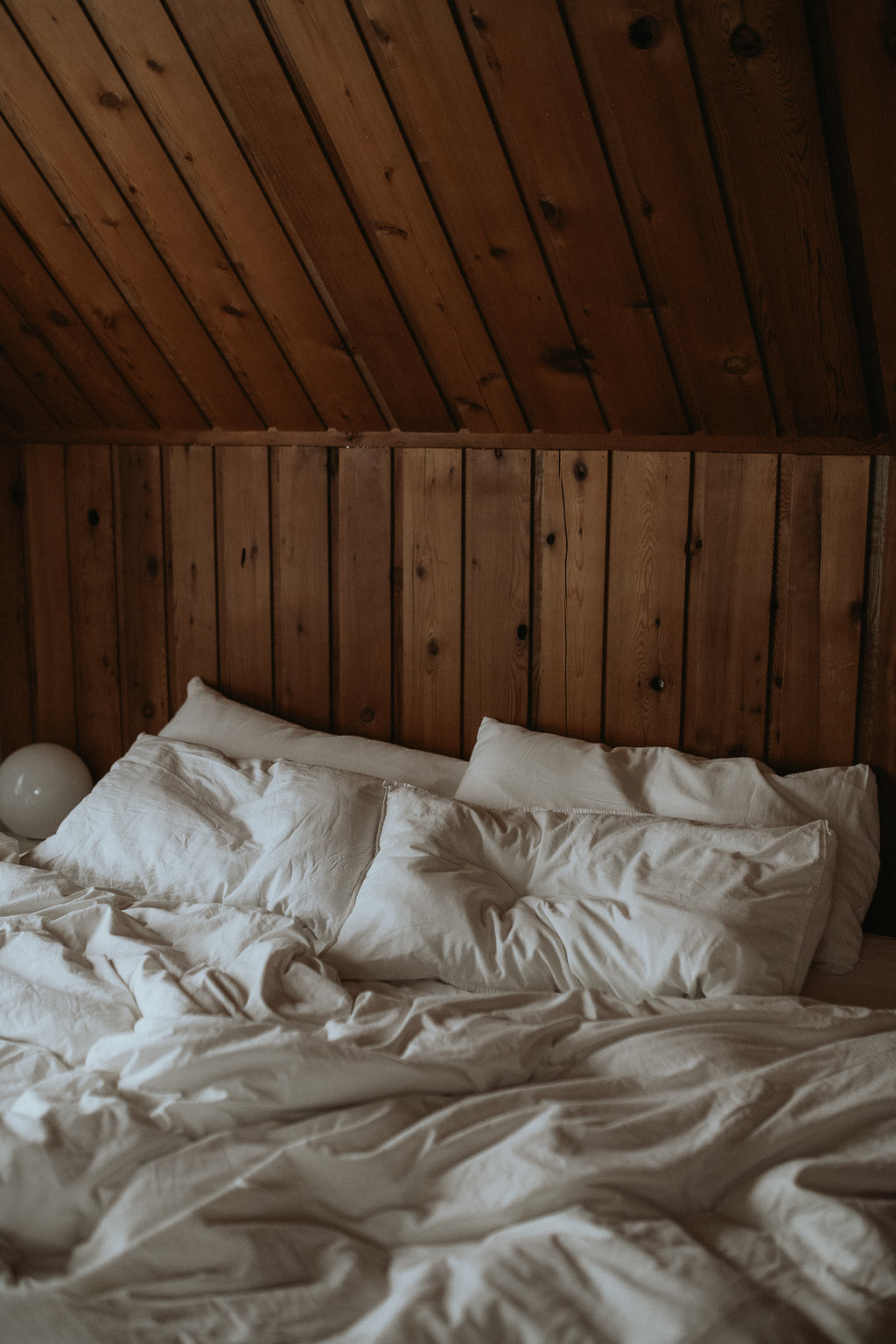 Grand rassemblement - avec hébergement