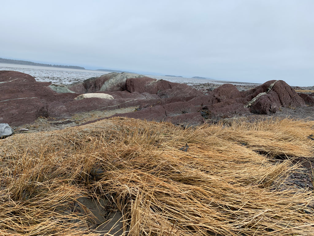 Grand rassemblement - avec hébergement
