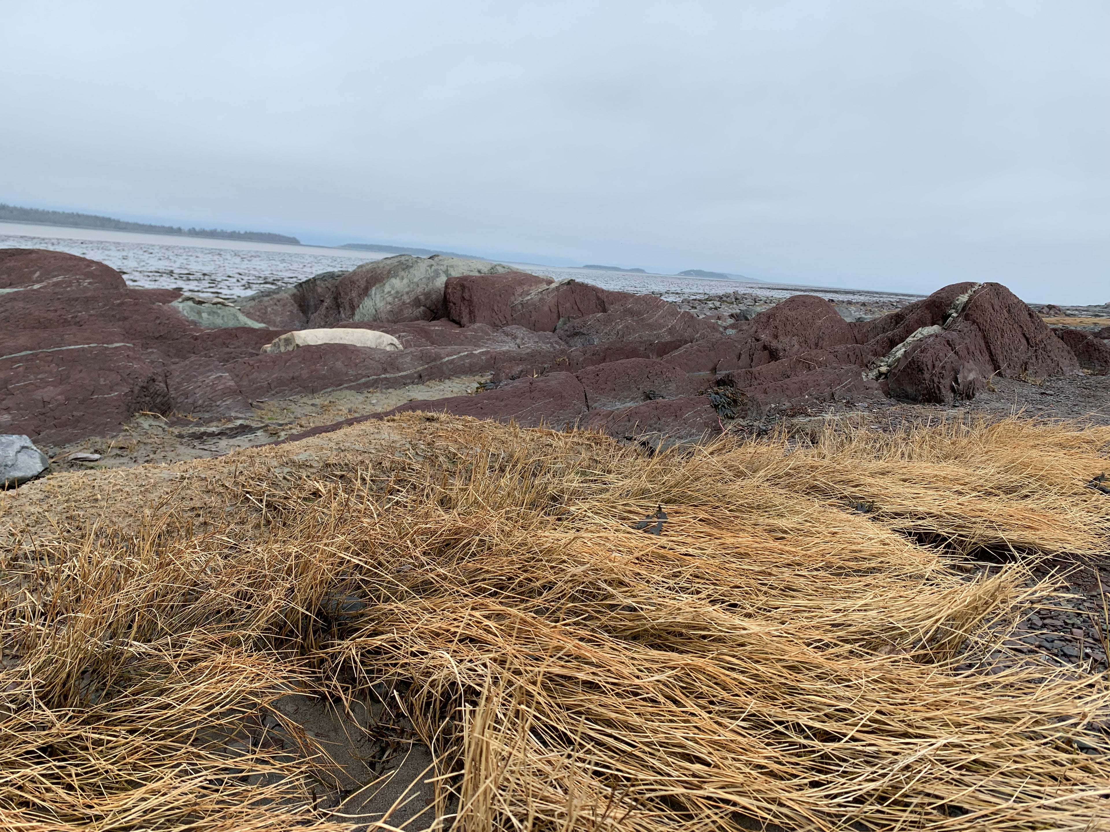 Grand rassemblement - avec hébergement